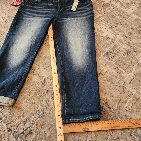 NWT Slink Tasha Boyfriend Curvy Jeans Stitch Fix Size 18W - Picture 8 of 16